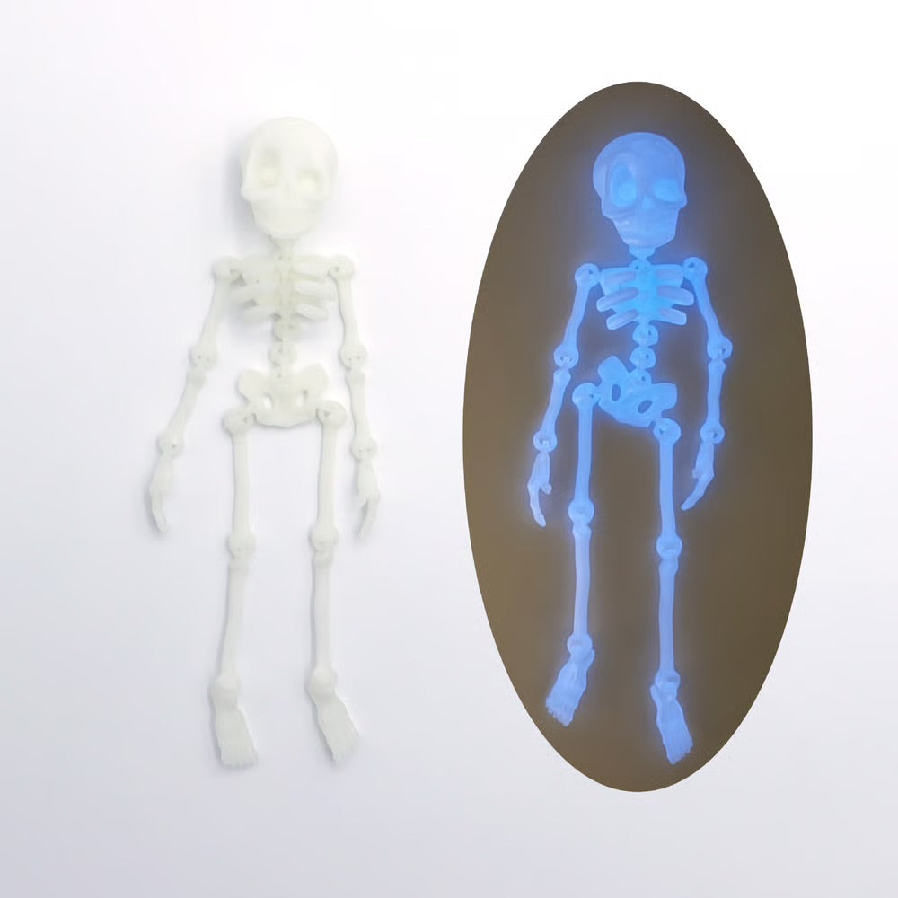 10 pcs Skeleton Magnetic Figurine