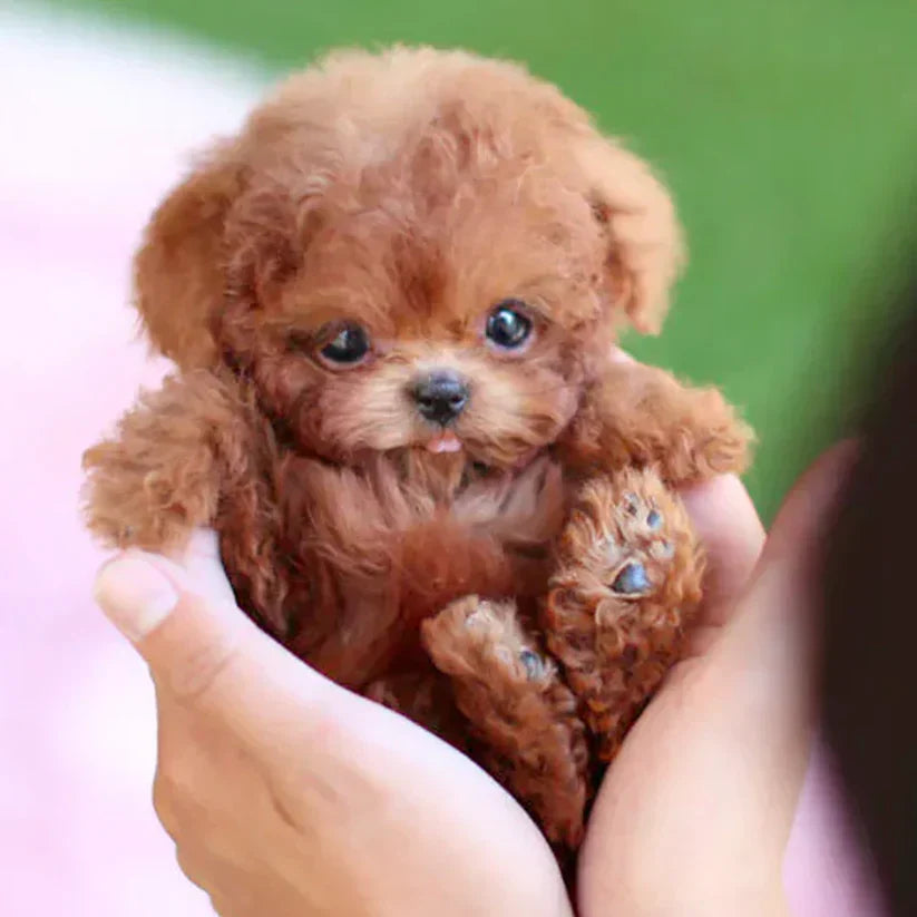 Kalbooz Realistic Puppy
