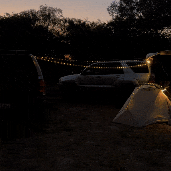 Bright Adventure Lamp