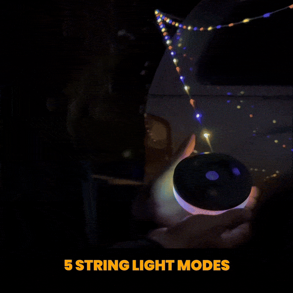 Bright Adventure Lamp