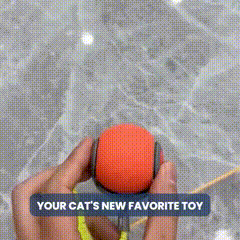 🔥Interactive Electric Rolling Ball with Teasing Tail🔥