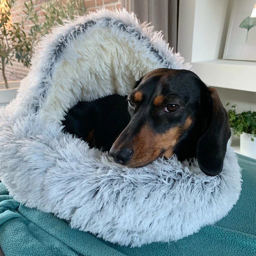CozyNook Snug Pet Cave Bed
