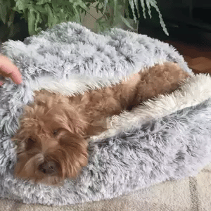 CozyNook Snug Pet Cave Bed