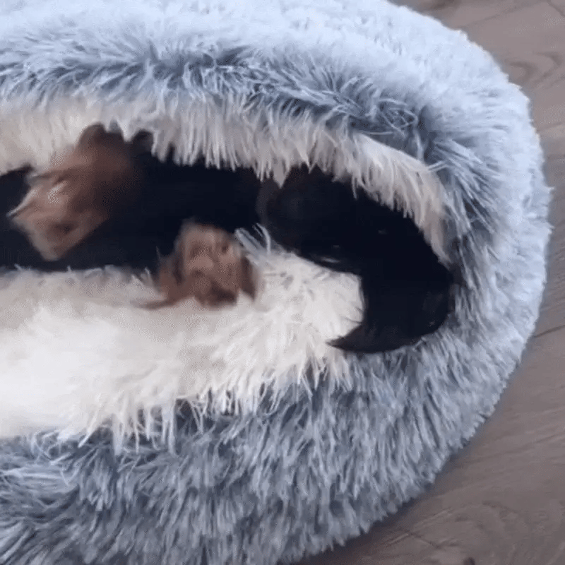 CozyNook Snug Pet Cave Bed