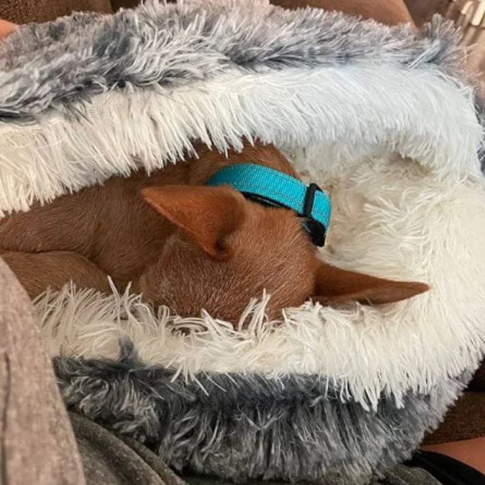 CozyNook Snug Pet Cave Bed