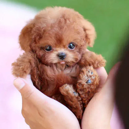 Kalbooz Realistic Puppy