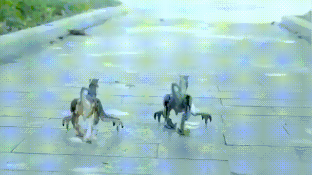 Jurassic Roar Dinosaur Toy