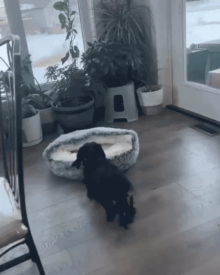 CozyNook Snug Pet Cave Bed