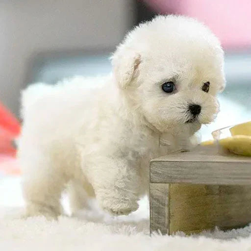 Kalbooz Realistic Puppy